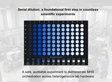 A 96-well plate arranged as a serial dilution