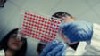 Genentech scientists analyze plates for the presence of bubbles