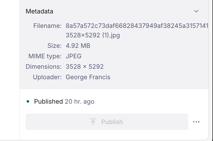 Image metadata displayed in the media library