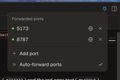 The ports popover with auto-forwarded ports