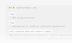 Lightfield MCP